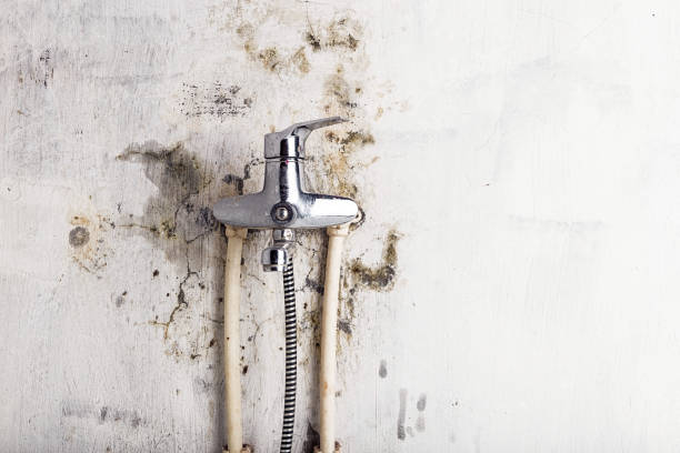 Best Post-Flood Mold Remediation in Mccord, OK