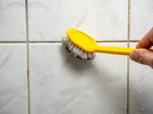 Best Mold Remediation for Schools in Mccord, OK