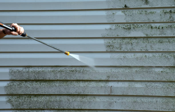 Best Residential Mold Remediation in Mccord, OK