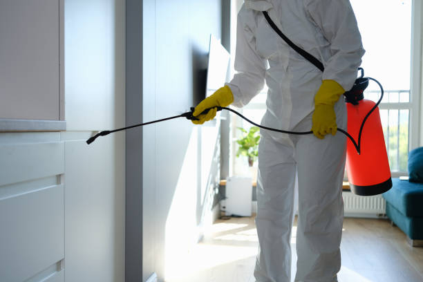 Best Insurance-Related Mold Remediation in Mccord, OK
