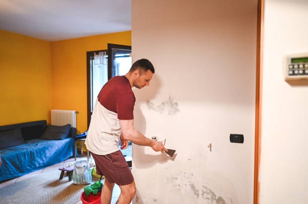 Best Attic Mold Remediation in Mccord, OK
