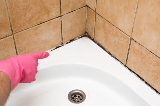 Best Post-Remediation Services in Mccord, OK